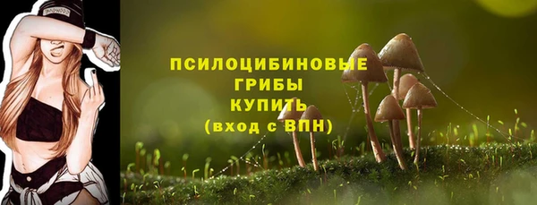 мефедрон Богородицк