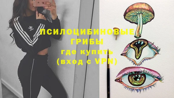 мефедрон Богородицк