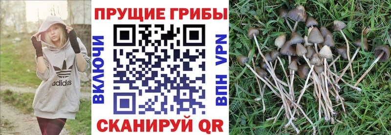 Псилоцибиновые грибы MAGIC MUSHROOMS  Каменногорск 